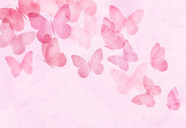 Group of butterflies on a pink background