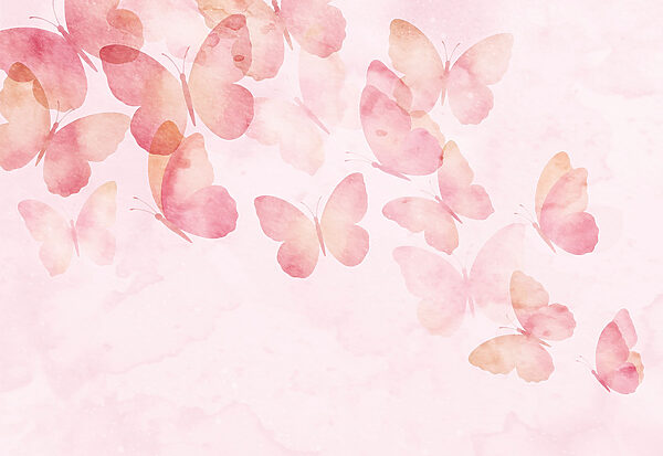 Group of butterflies on a pink background Group of butterflies on a pink background