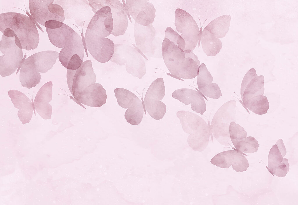 Group of butterflies on a pink background