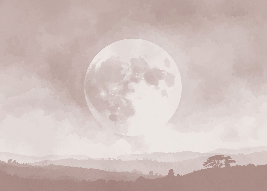 Moon in the sky