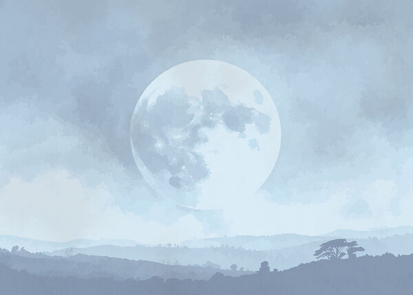 Moon in the sky