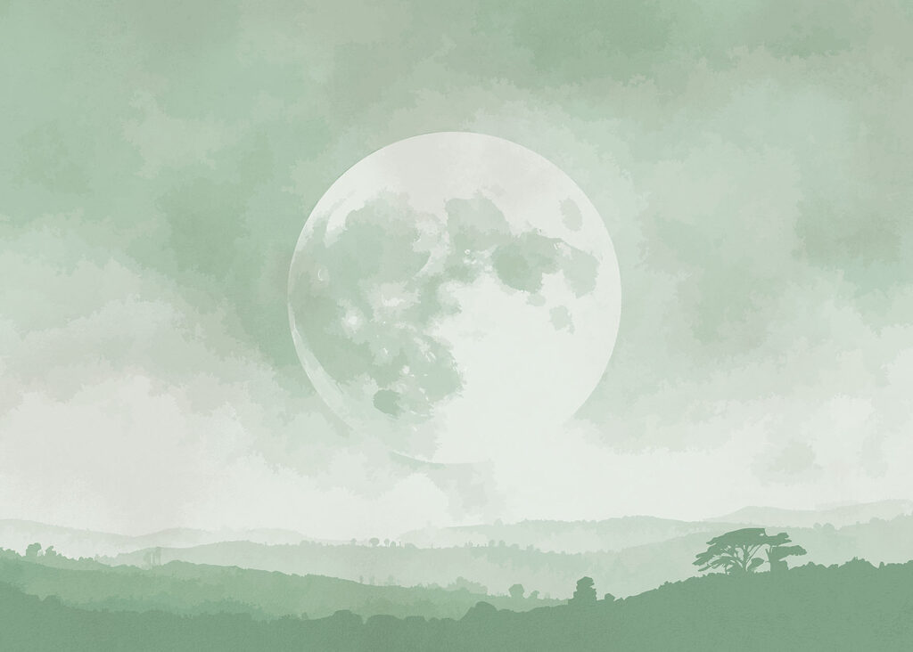 Moon in the sky