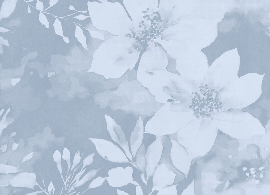 White flowers on a blue background
