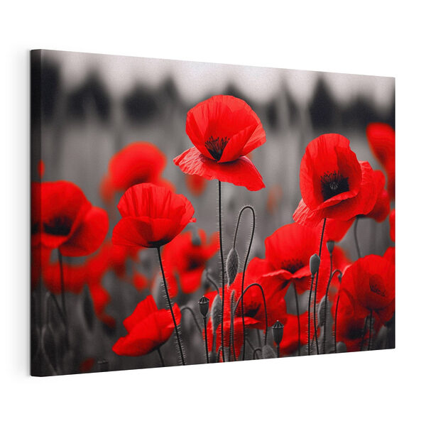 Group of red flowers