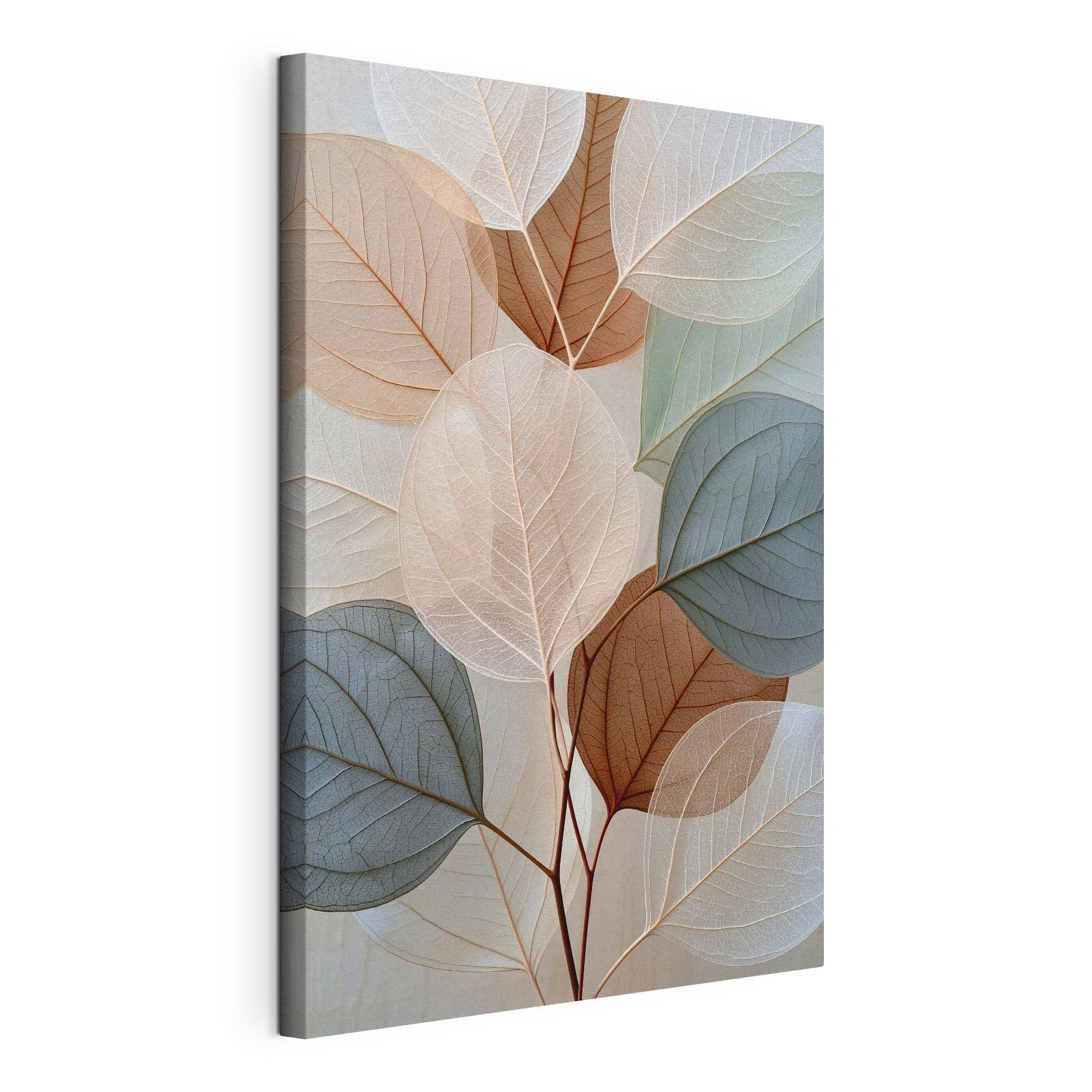 Group of leaves with different colors