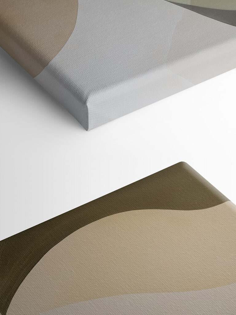 Soft curves in gentle colors