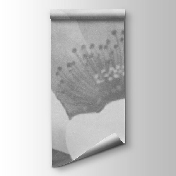 Soft petals in gentle haze