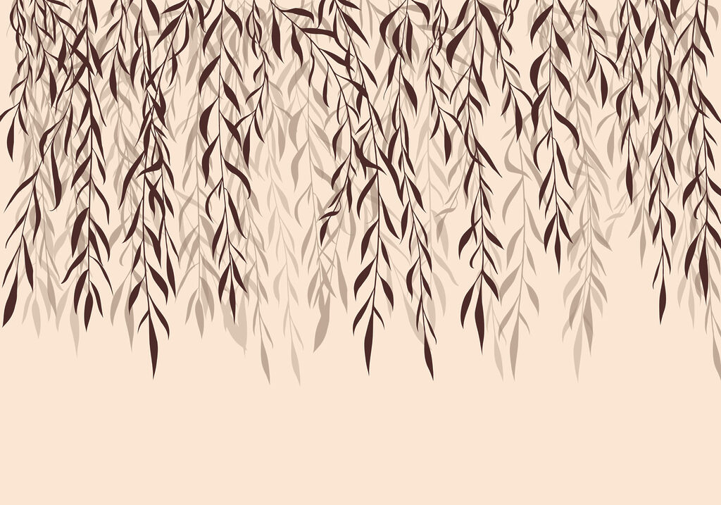 Delicate leaves cascading softly down