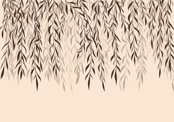 Delicate leaves cascading softly down